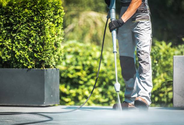 Best Fence Cleaning and Maintenance in New Hyde Park, NY