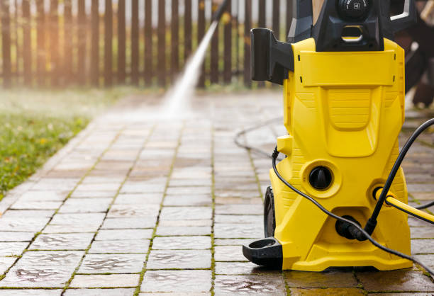 Best Roof Cleaning and Mildew Removal in New Hyde Park, NY